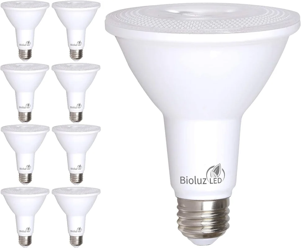 lightsdaddy676201