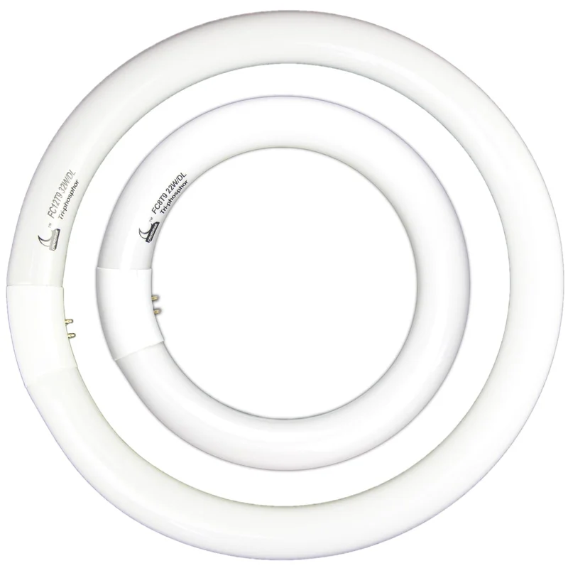 lightsdaddy684200