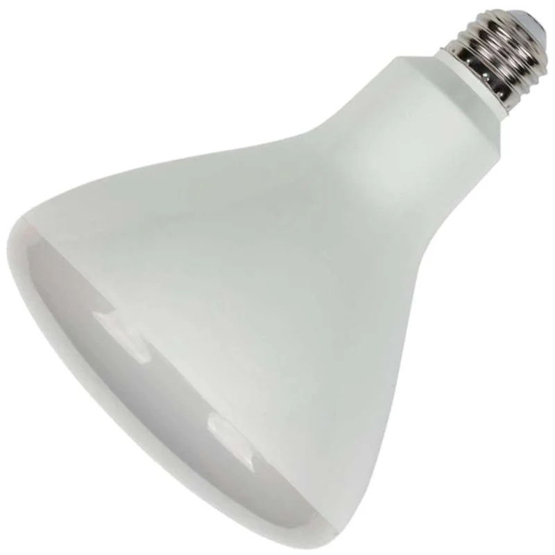 lightsdaddy685915