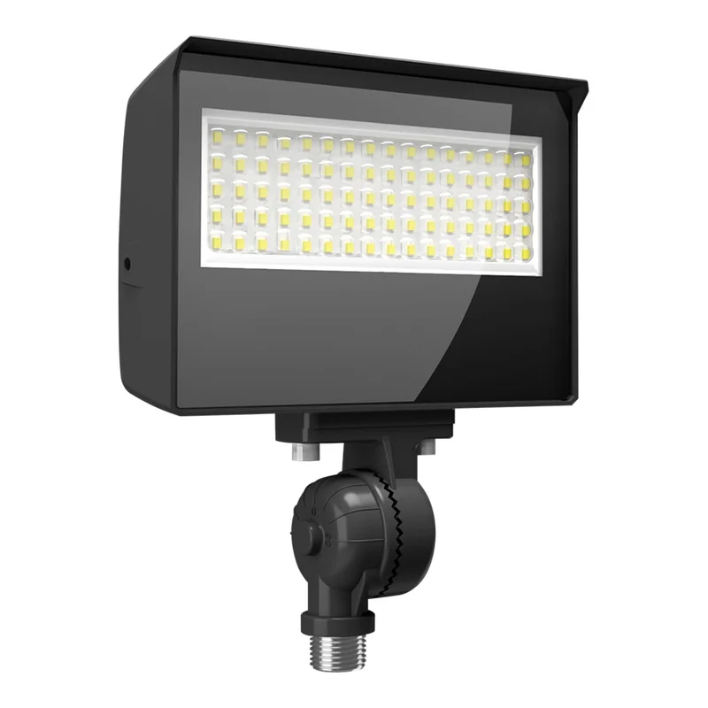 lightsdaddy687355