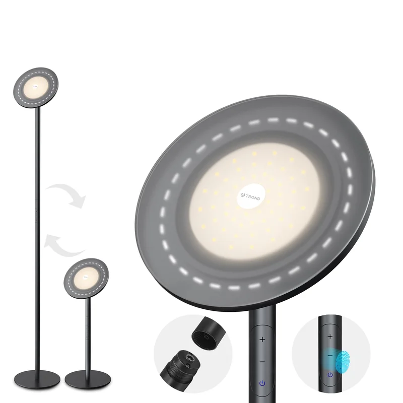 lightsdaddy695441
