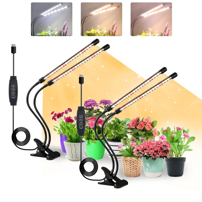 lightsdaddy706008
