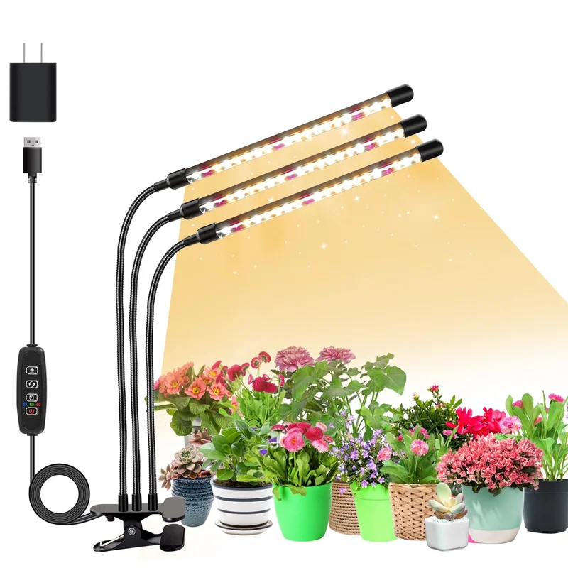 lightsdaddy706021