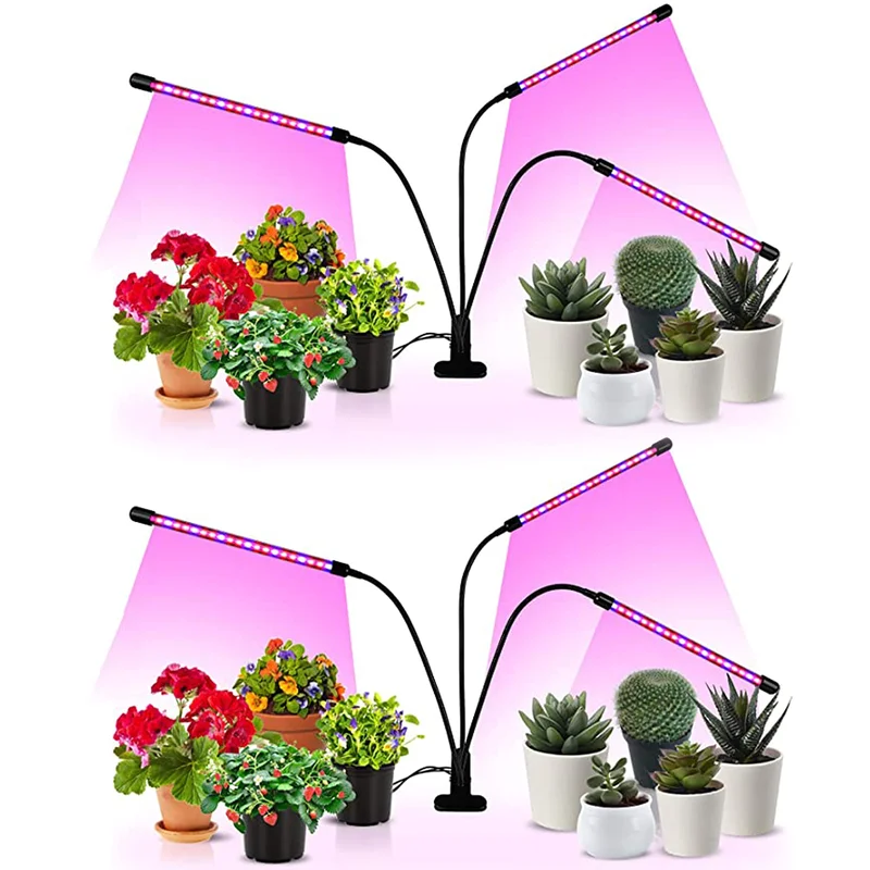 lightsdaddy706061