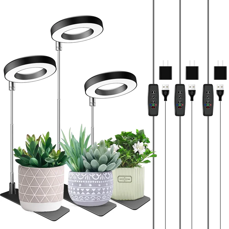 lightsdaddy706141