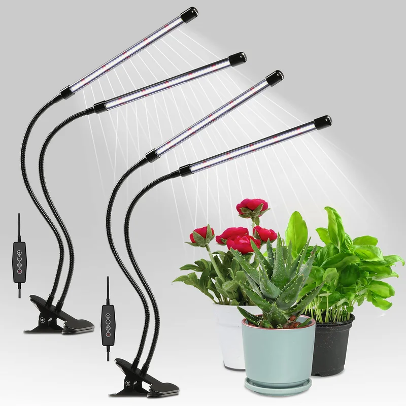 lightsdaddy706154
