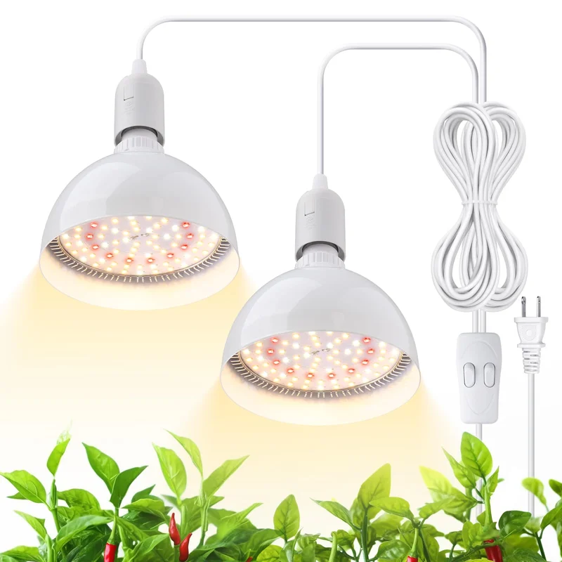 lightsdaddy706283