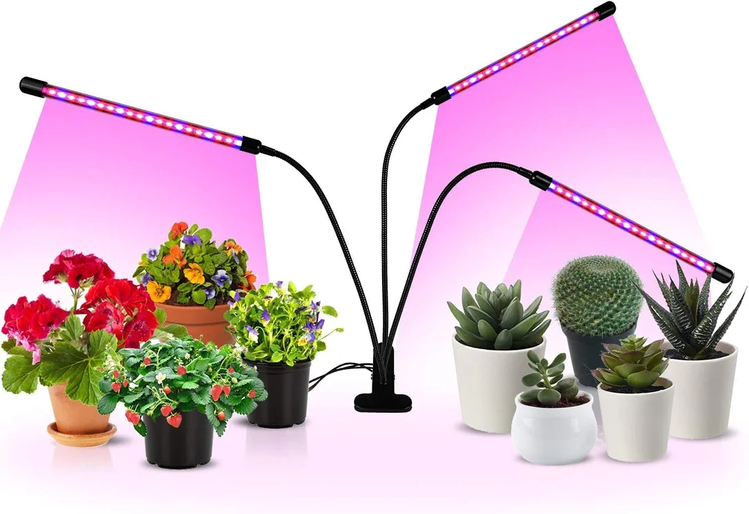 lightsdaddy706298