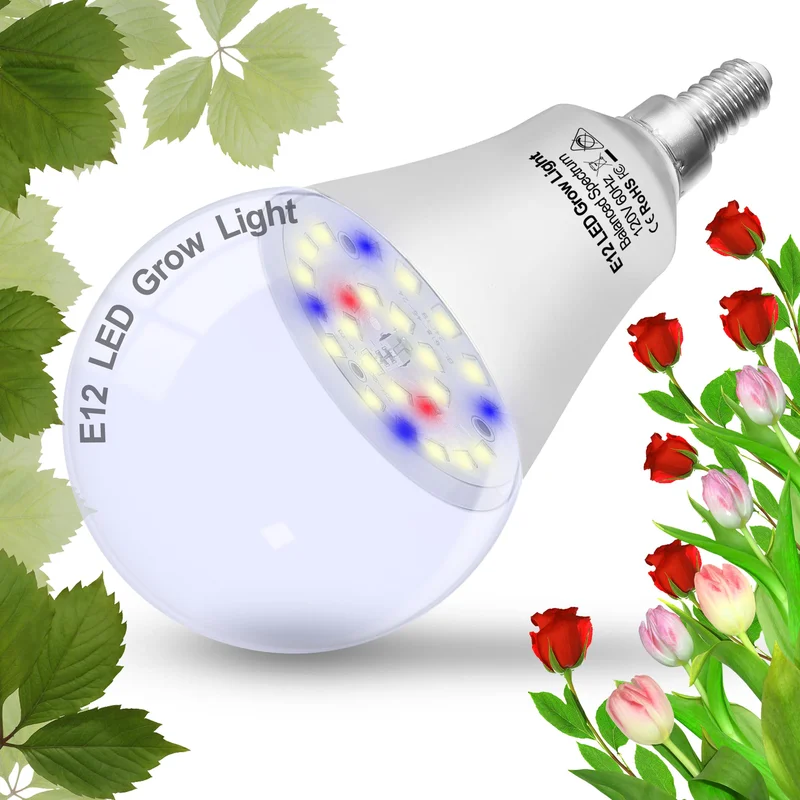 lightsdaddy706384