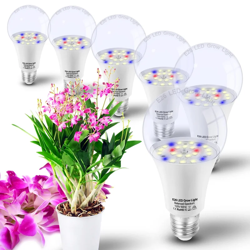 lightsdaddy706602