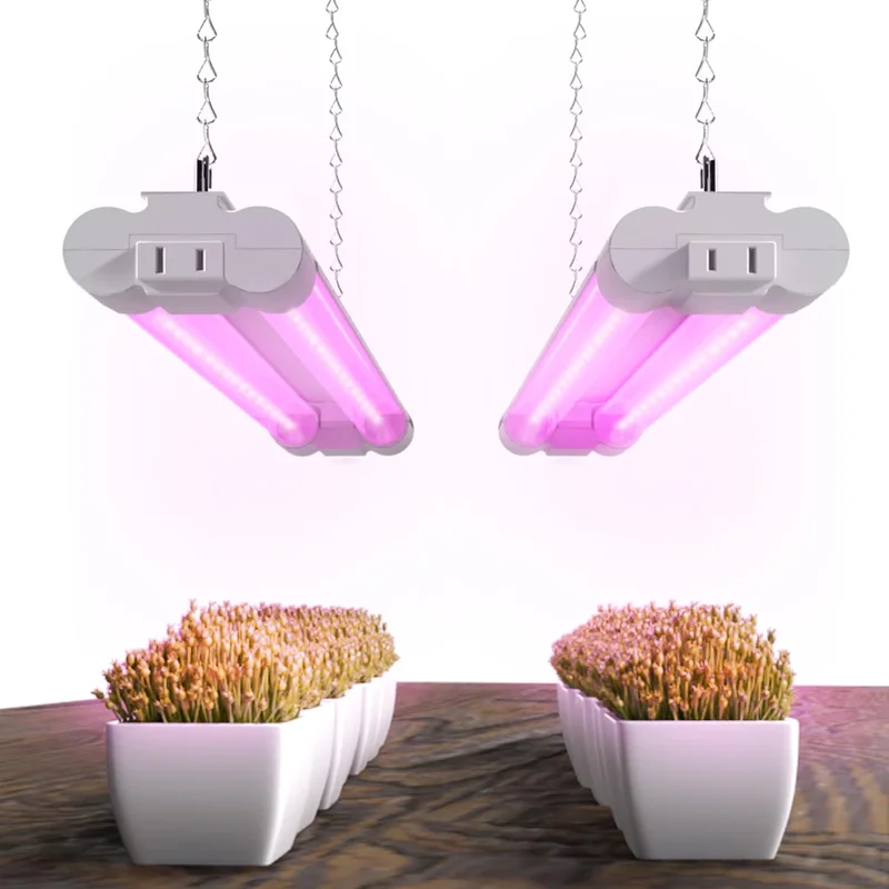 lightsdaddy706641