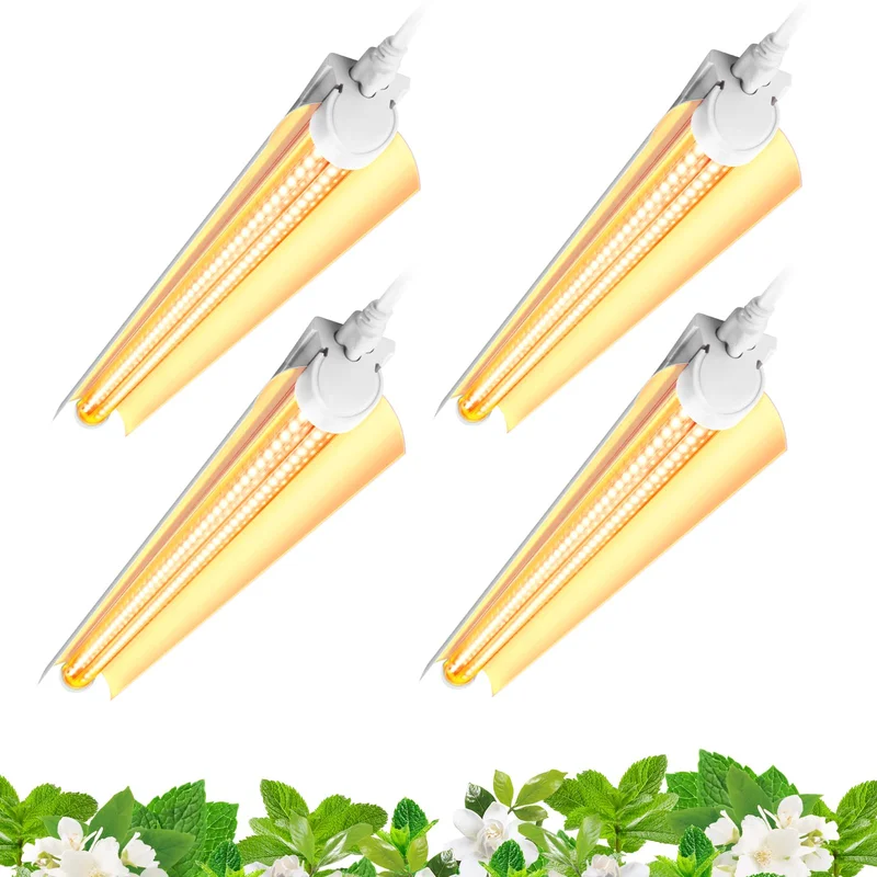 lightsdaddy706963