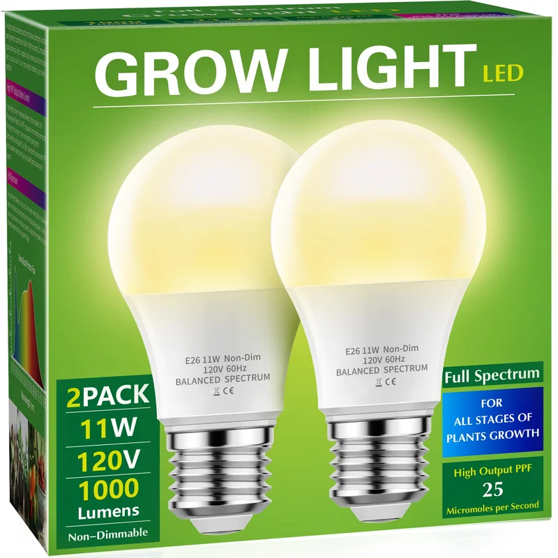 lightsdaddy708574