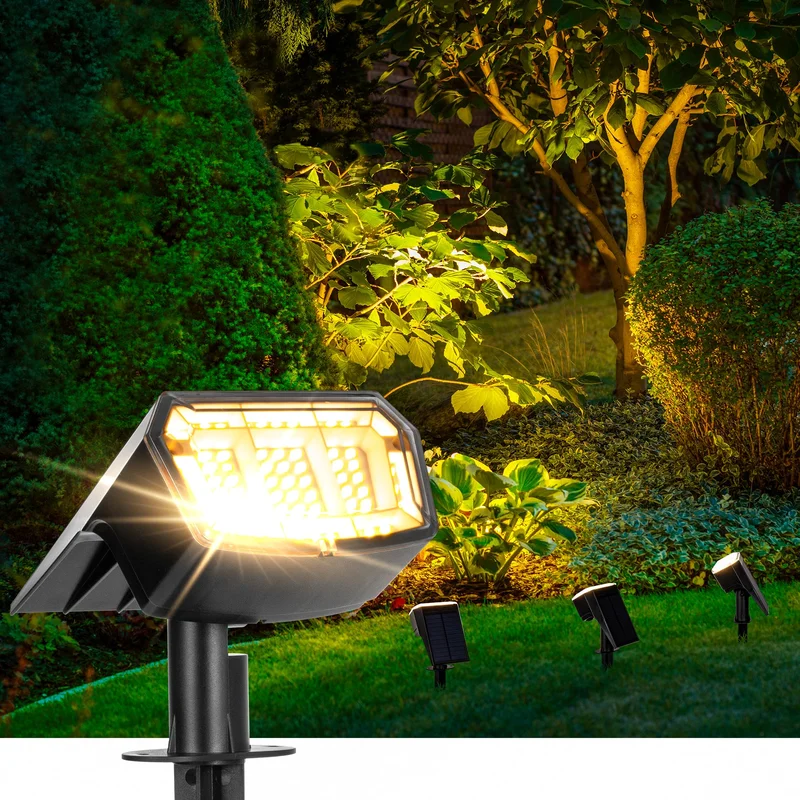 lightsdaddy725193