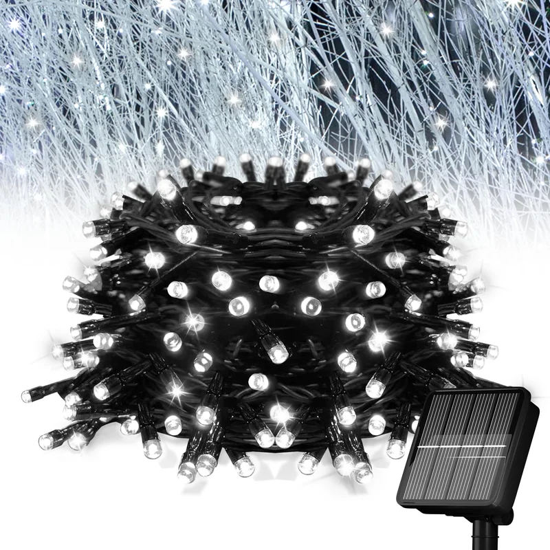 lightsdaddy726792