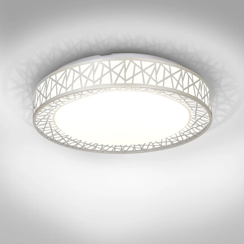 lightsdaddy729844