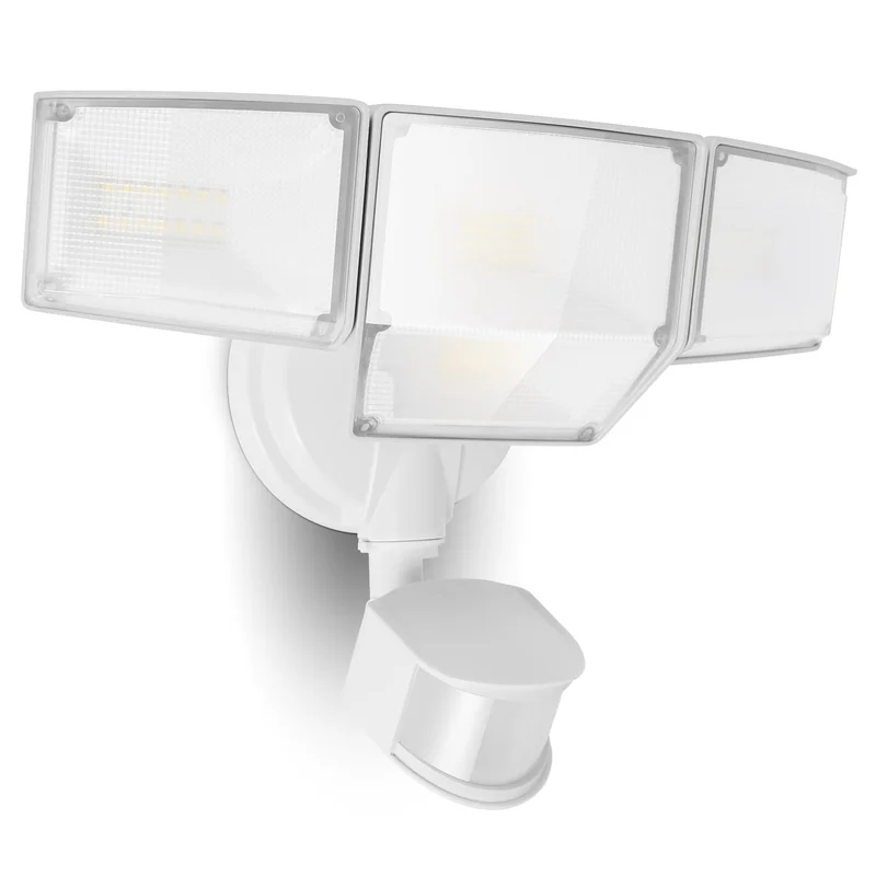 lightsdaddy748994