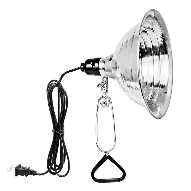 lightsdaddy765407