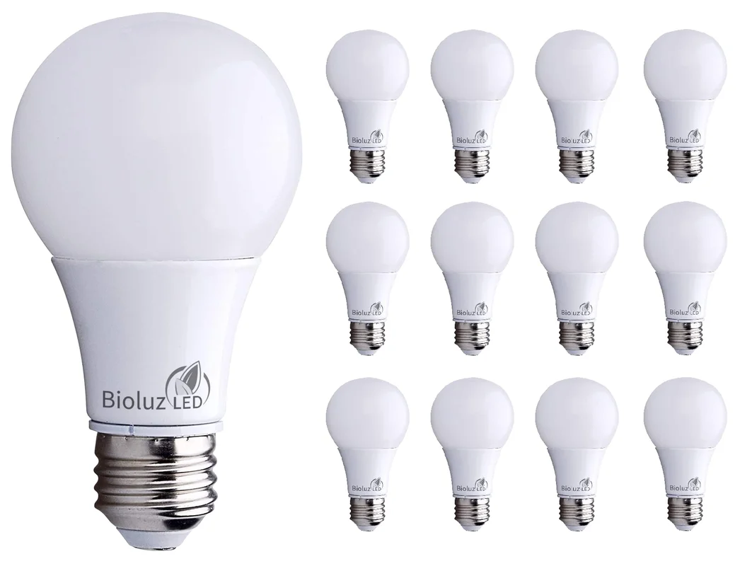 lightsdaddy769646
