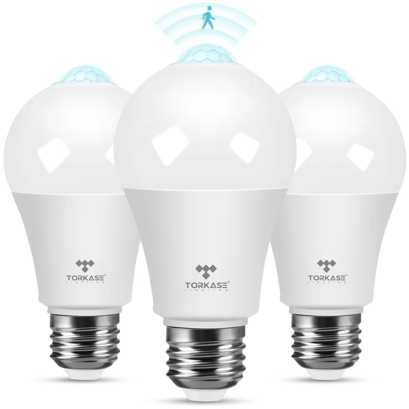 lightsdaddy770089