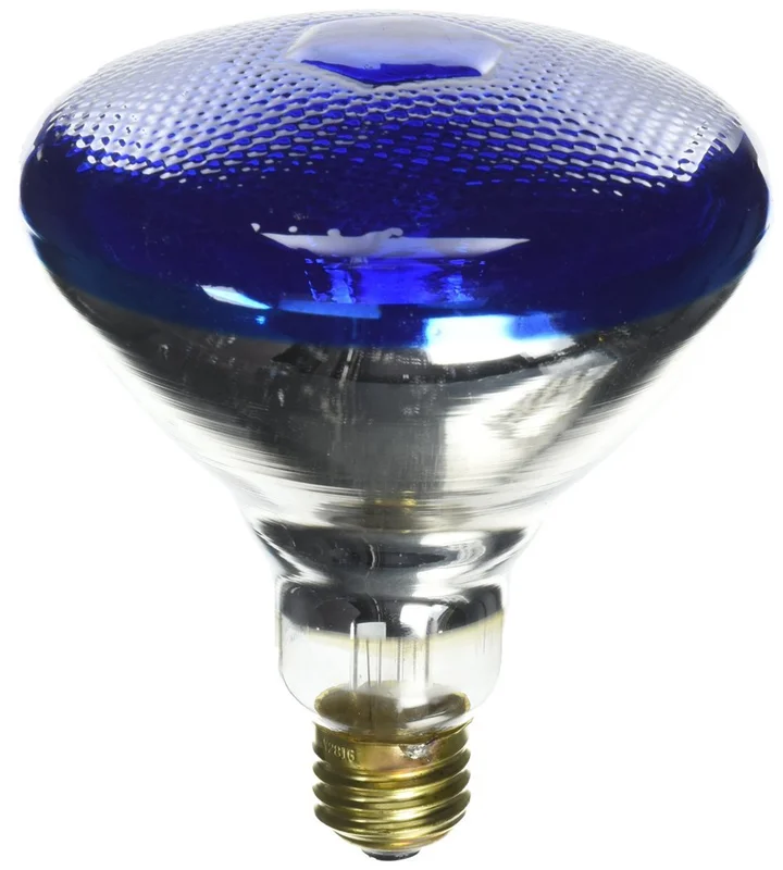 lightsdaddy772506