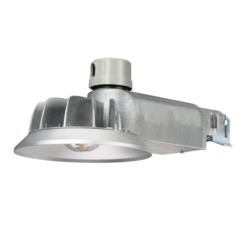 lightsdaddy772946