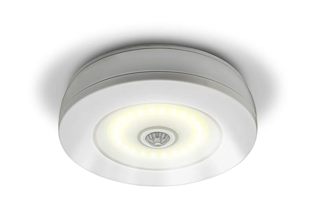 lightsdaddy773616