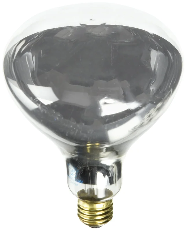 lightsdaddy774257