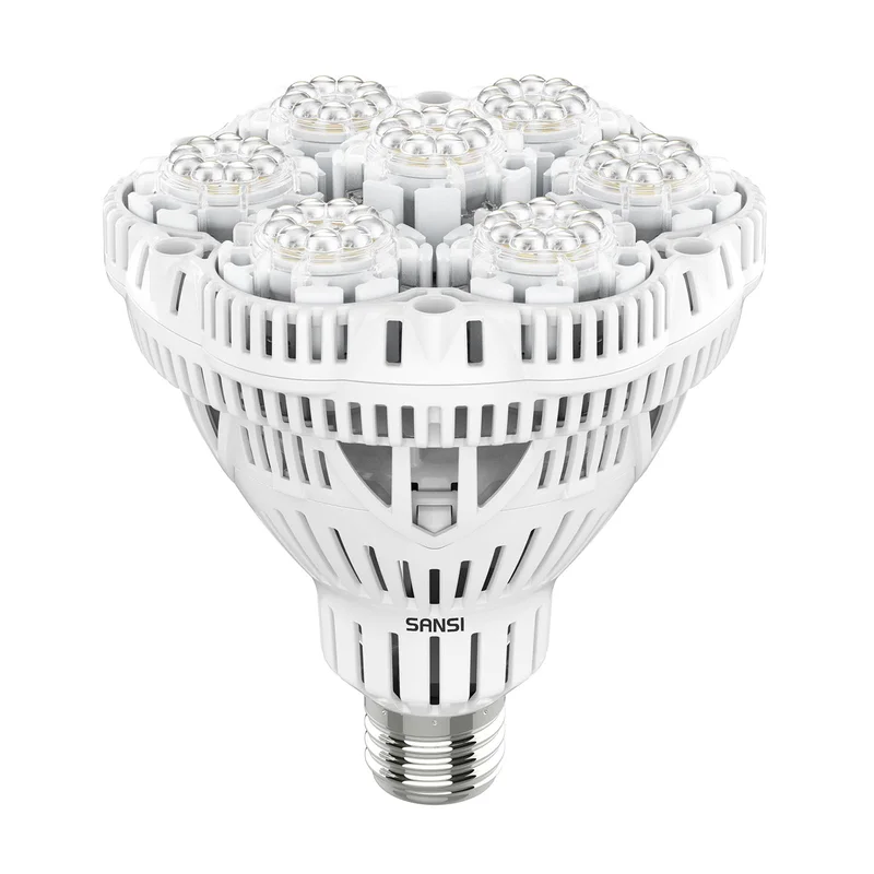 lightsdaddy774721