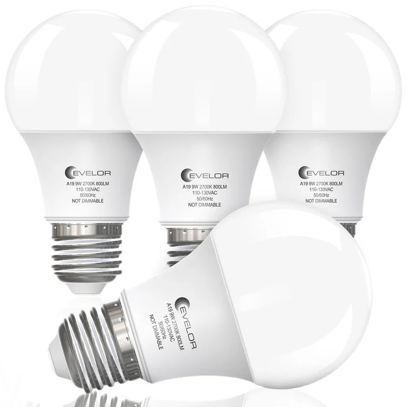 lightsdaddy783844