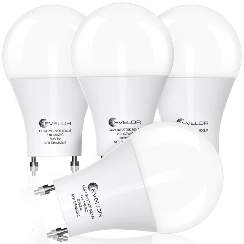 lightsdaddy787464