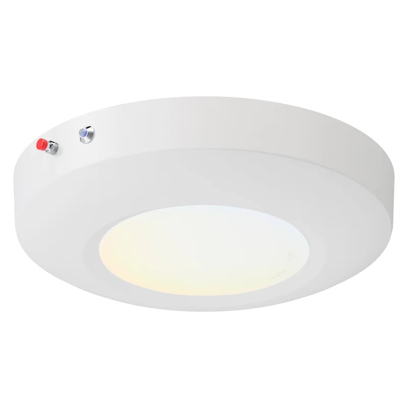 lightsdaddy788018