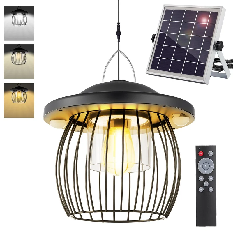 lightsdaddy793082