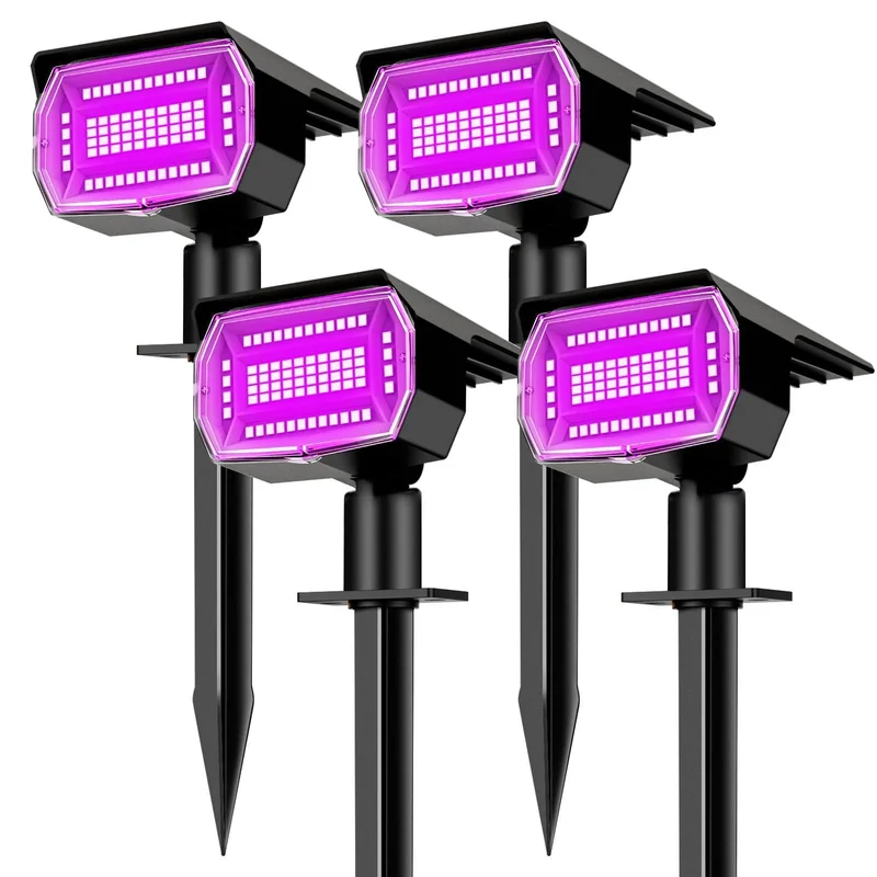 lightsdaddy794494