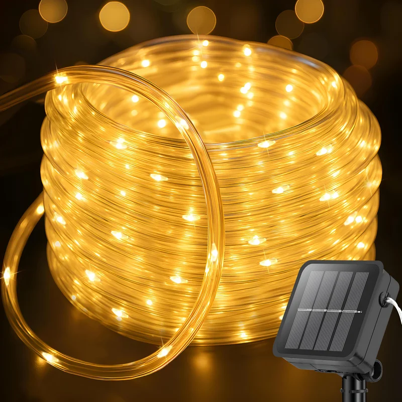 lightsdaddy794682