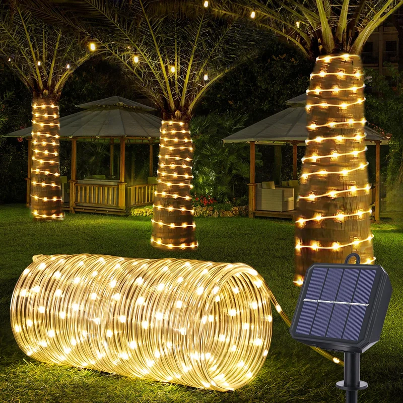 lightsdaddy796495