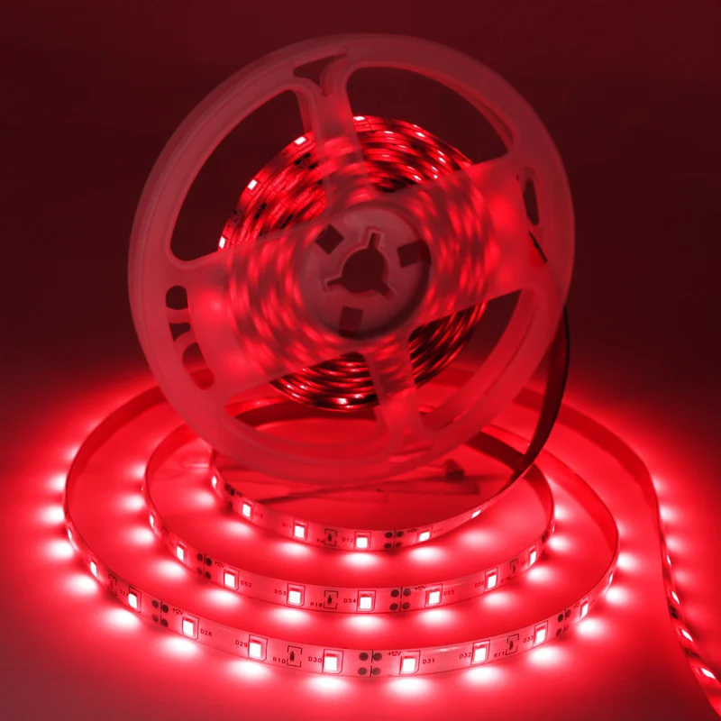 lightsdaddy797093