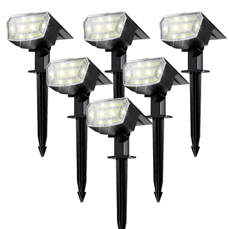 lightsdaddy800461
