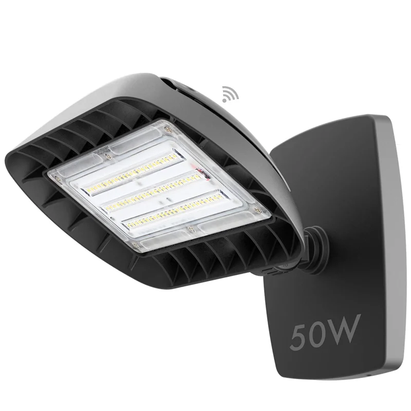 lightsdaddy800977