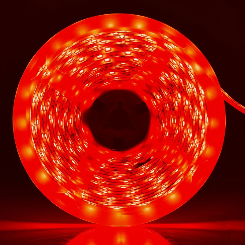 lightsdaddy801519