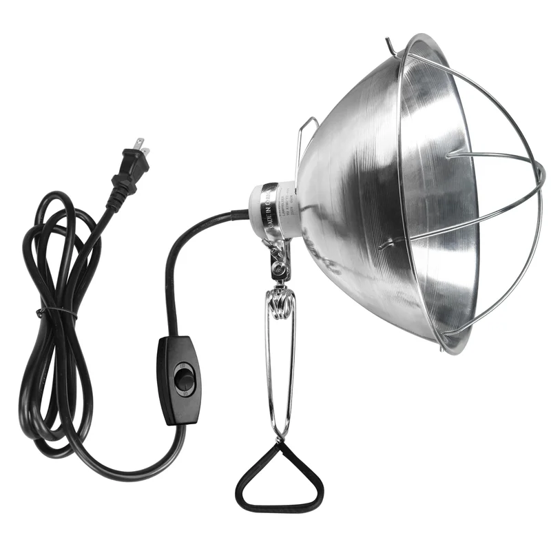 lightsdaddy801975