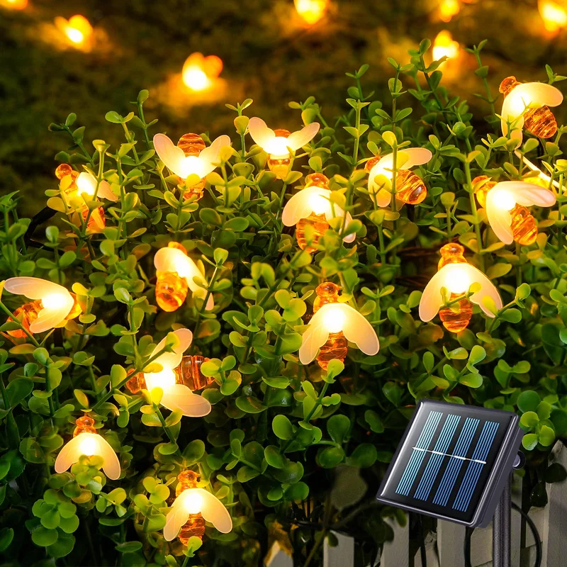 lightsdaddy802065