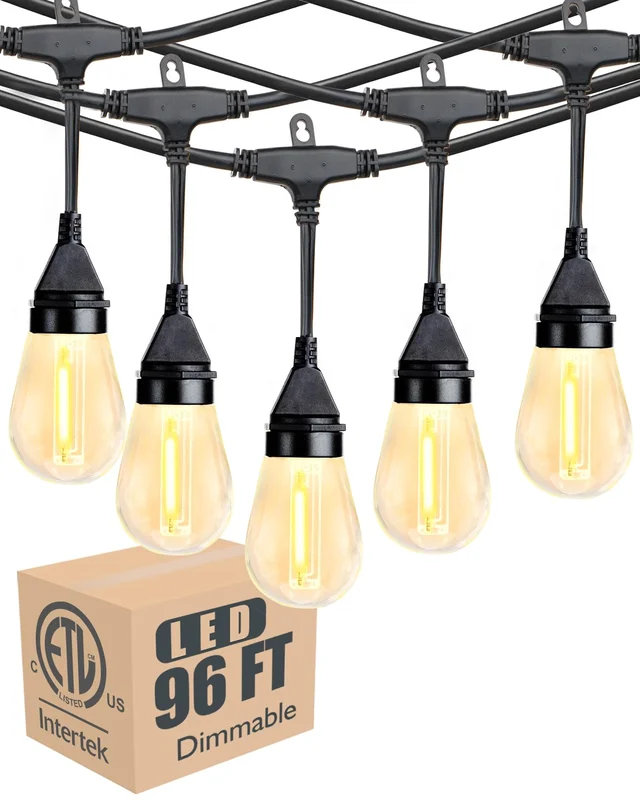 lightsdaddy805178