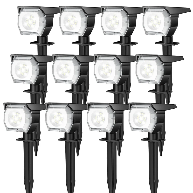 lightsdaddy806330