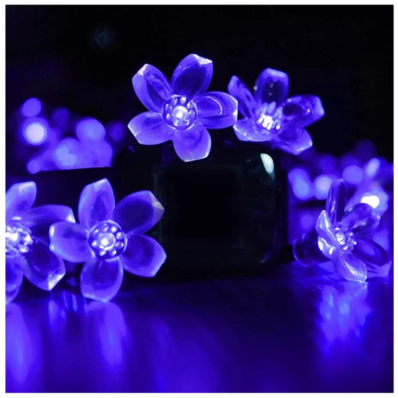 lightsdaddy808402