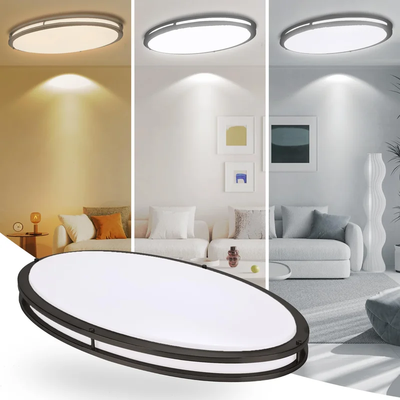 lightsdaddy808542