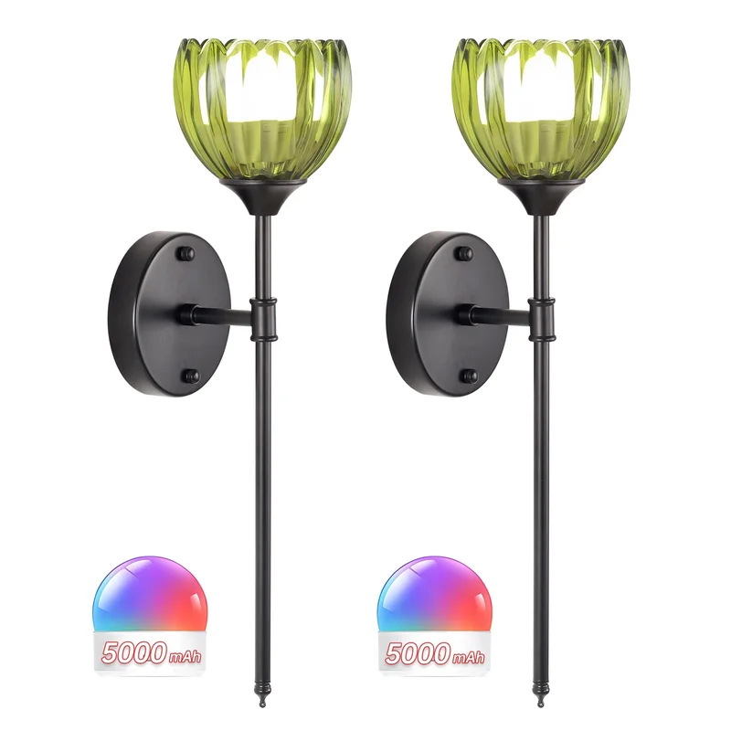 lightsdaddy808567