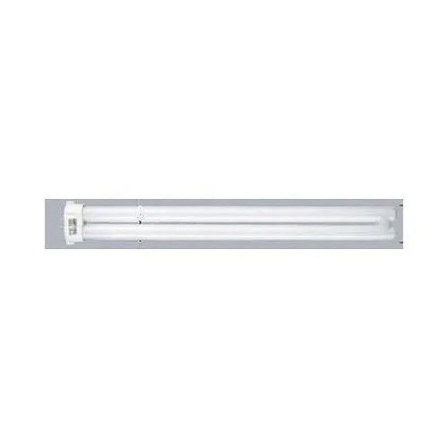 lightsdaddy809907