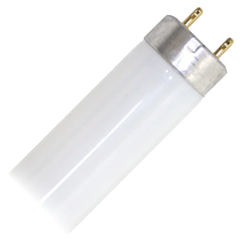 lightsdaddy810116