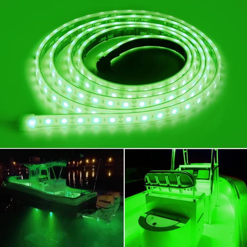 lightsdaddy810918